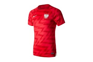 Футболка  POL M NK DRY SQD TOP SS GX Nike 893365-653
