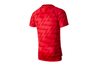 Купить Футболка  POL M NK DRY SQD TOP SS GX Nike 893365-653 - оригинал, гарантия
