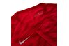 Купить Футболка  POL M NK DRY SQD TOP SS GX Nike 893365-653 - оригинал, гарантия