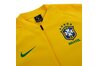 Купить Олимпийка спортивные Nike CBF M NK ANTHM FB JKT 893584-749 - оригинал, гарантия Купить Олимпийка спортивные Nike CBF M NK ANTHM FB JKT 893584-749 - оригинал, гарантия