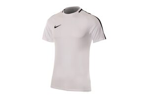 Nike M NK DRY ACDMY18 TOP SS 893693-100