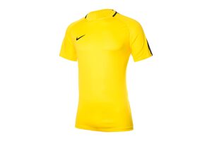 Nike M NK DRY ACDMY18 TOP SS 893693-719