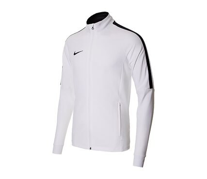 Кофта Academy 18 Track Nike 893701-100