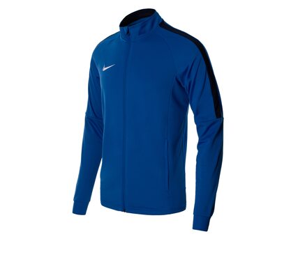 Олимпийка спортивная Nike Academy 18 Track 893701-463