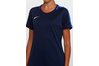 Купить Футболка  Womens Dry Academy 18 Nike 893741-451 - оригинал, гарантия