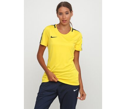 Футболка спортивная женская Nike Womens Dry Academy 18 893741-719