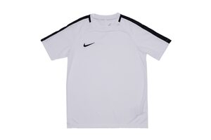 Футболка Y NK DRY ACDMY18 TOP SS Nike 893750-100