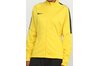 Придбати Кофта Womens 'Dry Academy18 Football Jacket Nike 893767-719 оригінал