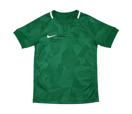 Nike Y NK DRY CHALNG II JSY SS 894053-341