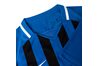 Купить Футболка игровая футбольная Nike M NK STRP DVSN III JSY SS 894081-463 - оригинал, гарантия
