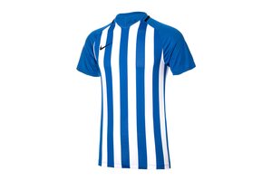Футболка M NK STRP DVSN III JSY SS Nike 894081-464