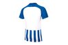 Купить Футболка  M NK STRP DVSN III JSY SS Nike 894081-464 - оригинал, гарантия