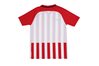 Купить Футболка  Y NK STRP DVSN III JSY SS Nike 894102-658 - оригинал, гарантия