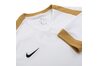 Купить Футболка  P A R K D E R B Y I I J E R S E Y Short Sleeve Nike 894312-100 - оригинал, гарантия