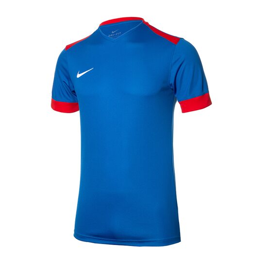 Купить Футболка  Dry Park Derby II Nike 894312-463 - оригинал, гарантия
