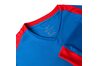 Купить Футболка  Dry Park Derby II Nike 894312-463 - оригинал, гарантия