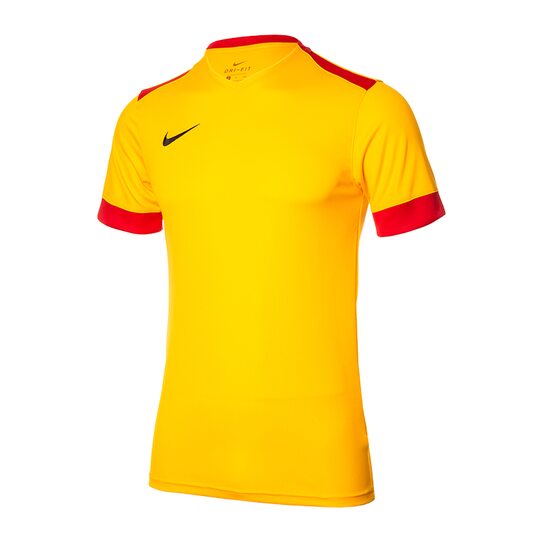Купить Футболка  Dry Park Derby II Nike 894312-739 - оригинал, гарантия