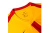 Купить Футболка  Dry Park Derby II Nike 894312-739 - оригинал, гарантия