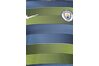 Купить Футболка  MCFC M NK DRY SQD TOP SS GX 2 Nike 894325-702 - оригинал, гарантия