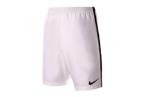 Nike Dry Short II WVN 894331-100