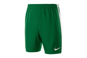 Шорты  Dry Short II WVN Nike 894331-302