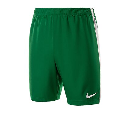Шорты  Dry Short II WVN Nike 894331-302