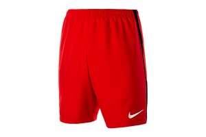 Шорты  Dry Short II WVN Nike 894331-657