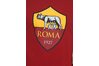Придбати Nike ROMA M NK TEE EVERGREEN CREST 898627-613 оригінал