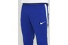 Придбати Штани CFC M NK FLX STRKE PANT KP 1 Nike 905459-451 оригінал