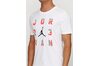 Купить Nike M JSW TEE 23 916052-100 - оригинал, гарантия