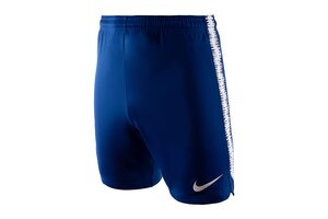 Шорты  CFC M NK DRY SQD SHORT K Nike 919894-496