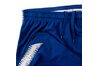 Купить Шорти  CFC M NK DRY SQD SHORT K Nike 919894-496 - оригинал, гарантия
