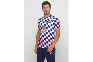 Футболка  CFC M NK DRY SQD TOP SS GX 2 Nike 919937-101