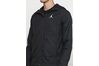 Купить Nike JSW WINGS GFX WINDBREAKER 939968-010 - оригинал, гарантия