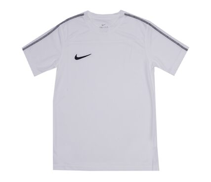 Бутсы  Y NK DRY PARK18 SS TOP Nike AA2057-100