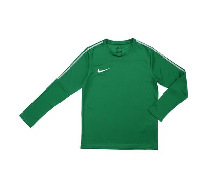 Кофта DRILL TOP CREW PARK 1 8 Nike AA2089-302