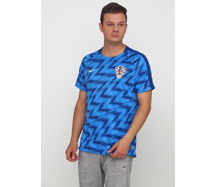 Футболка  CRO M NK DRY SQD TOP SS GX Nike AH0365-406