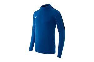 Реглан спортивный с капюшоном Nike HOODIE A C A D E M Y 1 8 AH9608-463