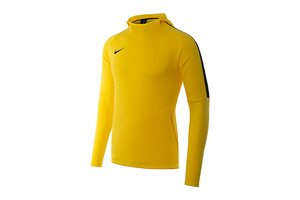 Кофта HOODIE ACADEMY 1 8 Nike AH9608-719