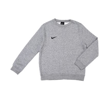 Кофта TEAM CLUB 19 CREW LIFESTYLE Nike AJ1545-063