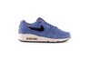 Купить Nike AIR MAX 90/1 AJ7695-500 - оригинал, гарантия