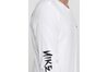 Придбати Кофта M NK SB TEE LS SNAKE Nike AO0386-100 оригінал Придбати Кофта M NK SB TEE LS SNAKE Nike AO0386-100 оригінал