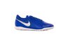 Купить Сороконожки Nike PHANTOM VSN ACADEMY TF AO3223-410 - оригинал, гарантия