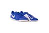 Купить Сороконожки Nike PHANTOM VSN ACADEMY TF AO3223-410 - оригинал, гарантия