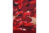 Купить Nike M NSW CLUB CAMO HOODIE FZ FT AQ0596-677 - оригинал, гарантия