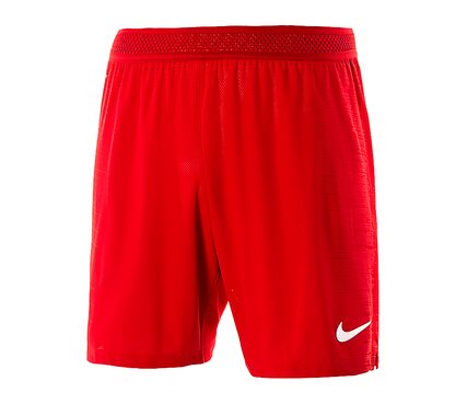 Шорты  VAPOR KNIT II SHORT Nike AQ2685-657