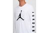 Купить Nike M JBSK LS TEE SP19 GX1 AQ3701-100 - оригинал, гарантия