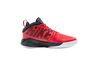 Купить Nike TEAM HUSTLE D 9 (GS) AQ4224-600 - оригинал, гарантия