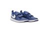 Купить Кроссовки  Pico 5 Nike AR4161-400 - оригинал, гарантия