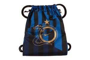 Сумка  Inter Gym Sack 20th Anniversary Nike BA5812-480